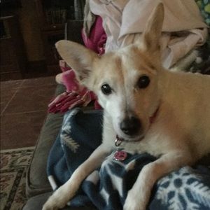 Meet your Posher, Cherie